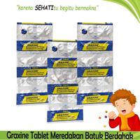 Gambar GRAXINE 100MG OBAT BATUK PENGENCER DAHAK PER STRIP - PERBOX dari MarsaBook undefined 4 Tokopedia
