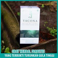 Gambar Obat Diabetes Herbal Antidiabetik Yacona Ampuh Aman Murah dari galensky jkt undefined 4 Tokopedia
