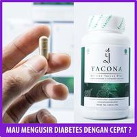 Gambar Obat Diabetes Herbal Antidiabetik Yacona Ampuh Aman Murah dari galensky jkt undefined 1 Tokopedia
