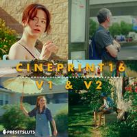 Gambar CinePrint16 Film Emulation PowerGrade Davinci Resolve V1 V2 Limited dari harumsindy shop undefined 1 Tokopedia
