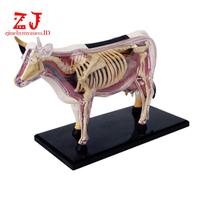 Gambar Mainan Rakitan Model Anatomi Organ Tubuh Hewan Sapi 4D DIY Untuk dari Sepla Store undefined 1 Tokopedia