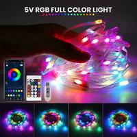 Gambar LAMPU LED STRING RUNNING RGB 10M 5V REMOTE DAN BLUETOOTH CONTROLLER - LED STRING 5V dari Sumber Jaya Lighting undefined 1 Tokopedia