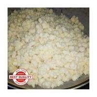 Gambar BIBIT KEFIR GRAIN ASLI GRADE A 100 GR Bukan starter atau bibit dari tamalaevi olshop undefined 1 Tokopedia