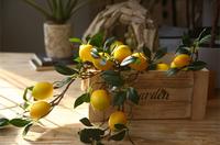 Gambar PREMIUM Tangkai Buah LEMON Artificial - Dekorasi Lemon Plastik dari MENGHIAS undefined 4 Tokopedia