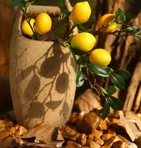 Gambar PREMIUM Tangkai Buah LEMON Artificial - Dekorasi Lemon Plastik dari MENGHIAS undefined 1 Tokopedia