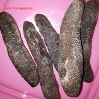 Gambar Teripang pasir hitam Teripang Laut Holothoria scabra Tinggal Masak dari Trisatya Utama undefined 1 Tokopedia