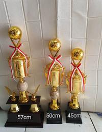 Gambar Trophy Piala Sepak Bola Model 09 set 123 dari Luckysport88 undefined 1 Tokopedia