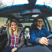 Gambar Universal Car Tissue Holder Automotive Tissue Box Holder,Plush Animal dari jeinnshop undefined 4 Tokopedia