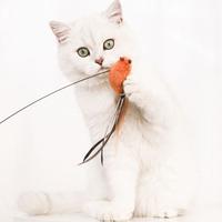 Gambar SWEETJOHN 1Pc Cat Toy For Kitten Cat Supplies Cat Stick Toy Mini dari ajishop57 undefined 4 Tokopedia