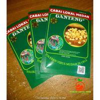 Gambar Paket 5 bks Benih Bibit Cabe GANTENG siramping yang panjang dari borgede undefined 5 Tokopedia