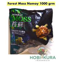 Gambar Terlaris! Forest Moss 1 Grm Alas Kandang Bedding Hewan Reptile Nomoy dari ZAWA HOBY undefined 1 Tokopedia