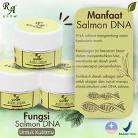 Gambar Paket Satuan Skincare RA Glow Niacinamide With Serum DNA Salmon - facialwash dari PANJI APANDI SHOP undefined 4 Tokopedia