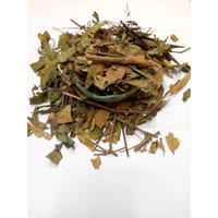 Gambar Daun Gandarusa Kering / Kisi Kisi / Justicia Gendarussa 1Kg dari mulya sari toko undefined 2 Tokopedia