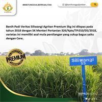 Gambar benih padi unggul varietas siliwangi / siliwangi / benih towgwi 3338ia dari Hradecky undefined 5 Tokopedia