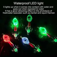 Gambar Squid Jig Glow In The Dark Fishing Lures Fluorescent Cuttlefish Jig dari jiwelijo undefined 2 Tokopedia