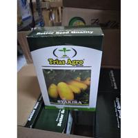 Gambar benih buah timun suri syakira f1 kuning isi 10 gram bias gebrbu 3265gp dari Sebast undefined 4 Tokopedia