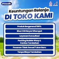 Gambar ETAWALIN Susu Kambing Etawa Untuk Tulang Dan Sendi Official 1 Box 200g dari cemilanringan12 undefined 2 Tokopedia