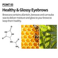 Gambar New [etude House] Color My Brows 9g dari Petalion Haven undefined 4 Tokopedia