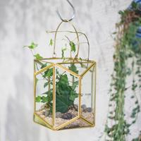Gambar Ncyp Geometric Glass Terrarium Lantern Tabletop Succulent Plant . dari cola4 undefined 5 Tokopedia