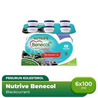 Gambar NUTRIVE BENECOL BLACKCURRANT 6X100 ML dari NadisStore undefined 1 Tokopedia
