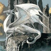 Gambar 70X100Cm 2000Pcs Advanced Paper Jigsaw Puzzles White Dragon Anima dari Anyelir Wijaya undefined 2 Tokopedia