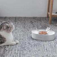 Gambar A Petkit Pet Bowl For Smart Home Supply Dog Feeding Dishes dari haboob undefined 3 Tokopedia