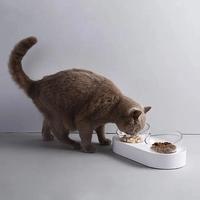 Gambar A Petkit Pet Bowl For Smart Home Supply Dog Feeding Dishes dari haboob undefined 2 Tokopedia