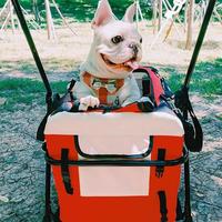 Gambar Eu Free Lightweight Foldable Cat Cart Load Bearing 20kg Dog Strollers dari realoneshop undefined 3 Tokopedia