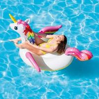 Gambar Pelampung Intex Unicorn Ride On Floaties - Ban Renang Anak Kuda Pony dari mhmadrifaiii undefined 1 Tokopedia