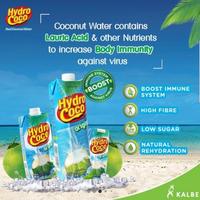 Gambar JayaMakmur- HYDRO COCO 1 LITER dari aminashop389 undefined 2 Tokopedia