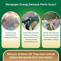 Gambar R1CH.  ANLENE GOLD 5X VANILA COKLAT 25GR x 10 | ANLENE GOLD SACHET RENCENG dari niakurnia21 undefined 3 Tokopedia