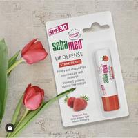 Gambar Lip Care Stick Spf30 Triple Protion ~ Original \ Cherry \ Strawberry \ Baby Lip Balm \ Pelembab Bibir 4.8Gr dari ajayy mandiri undefined 2 Tokopedia