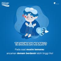 Gambar POCARI SWEAT PET 500 ml Karton isi 24 dari KAGAIUY PATRIO638 undefined 2 Tokopedia