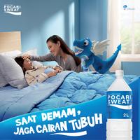 Gambar POCARI SWEAT PET 500 ml Karton isi 24 dari KAGAIUY PATRIO638 undefined 5 Tokopedia