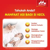Gambar Morinaga Chil Mil Platinum Tahap 2 - 400Gr / Susu Formula Bayi 6-12 Bulan dari bolliang undefined 2 Tokopedia