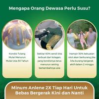 Gambar Anlene Gold 5X Susu Bubuk Dewasa Cokelat 2 X 600G - Tulang & Sendi dari Halo, glenjinggo undefined 2 Tokopedia