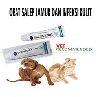 Gambar MICONAZOLE NITRATE 10gr Obat Salep Jamur Kucing Anjing Ampuh Kimia Farma Krim 2% 10 gram Murah Aman * dari DenBagusStore-1 undefined 3 Tokopedia