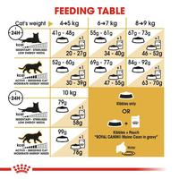Gambar 2kg MAINE COON Makanan Kering Kucing Mainecoon RC Murah Desa Adult Maincoon Main Dry Cat Food Pelebat Bulu * dari DenBagusStore-1 undefined 4 Tokopedia