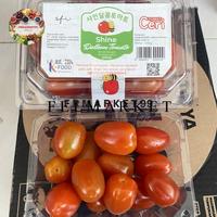 Gambar TomatCherry Shine Stevia Super Manis / Toman Cherry / Tomat Dengan Pemanis Alami Seperti Gula / 250 grm dari Felmarket undefined 1 Tokopedia
