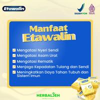 Gambar ETAWALIN PAKET 3 BOX - SUSU BUBUK KAMBING ETAWA ORIGINAL BPOM 200GR 11.11 dari warkop cilik undefined 4 Tokopedia