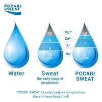 Gambar RICH. Pocari Sweat 500ml - Minuman Isotonik yang Menyegarkan dari SURENIMSA07 undefined 5 Tokopedia