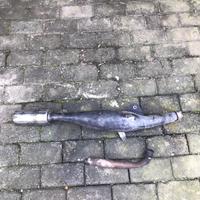 Gambar KNALPOT MUFFLER YAMAHA F1Z F1ZR FIZR FORCE 1 STANDART BOBK ORIGIN dari grisham_galery undefined 1 Tokopedia