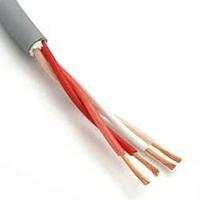 Gambar PREMIUM Cable Speaker Canare 4S10F Made In Japan Original/ meteran dari World Panel Ambition undefined 1 Tokopedia