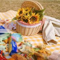 Gambar Best Item! 1pc Handmade Wicker Basket With Handle Rattan Camping Picnic Basket With Double Lids Stor dari tumanji store undefined 5 Tokopedia