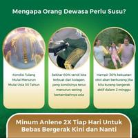 Gambar NEW PRODUCT ANLENE GOLD PLUS COKLAT 900GR GLASSWING BUTTERFLY dari Glasswing Butterfly undefined 2 Tokopedia