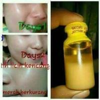 Gambar Minyak Bulus Ori Asli Original 10ml Risma ORIGINAL 10 ML dari toko bangunan serba lengkap undefined 1 Tokopedia
