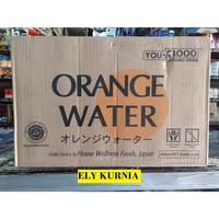 Gambar MANTAPNYA SAMBAL YOU C1000 ISOTONIC DRINK ORANGE WATER 500ML / MINUMAN dari Mantapnya Sambal undefined 1 Tokopedia