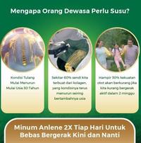 Gambar Pricegood| Anlene Gold COKLAT 900 gr dari sariawat undefined 4 Tokopedia