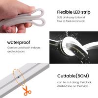 Gambar DC 12V 24V LED Neon Strip Light Neon Sign Waterproof Silicone Rope Lights Flexible Lamp Home Decoration with 2pin Wire 9 Colors dari GELASHIDEUNGG TERKINIIIIII undefined 5 Tokopedia