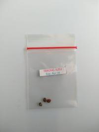 Gambar Benih Biji Terong Susu Benih Unggul - Solanum Mammosum dari Benih Kebun Kita undefined 2 Tokopedia